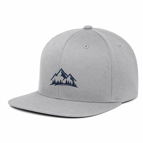 Snapback - Silver